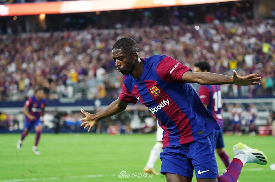 是因为他们 是因为他们